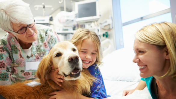 Vårdhund kan bli en accepterad komplementär behandling
